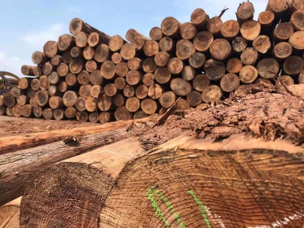 Dostosowane zewnętrzne ogrodzenie z drewna cedrowego do dekoracji ogrodu Dobra stabilność