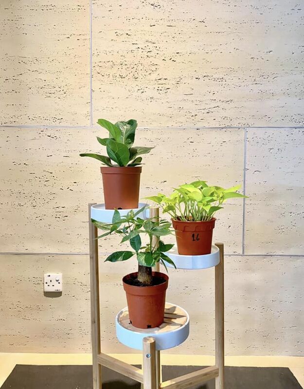 Elastyczne arkusze trawertynowe 3d Płyty kamienne trawertynowe Elastyczne pokrycie Ms Trawertynowe Elastyczne cegły zewnętrzne